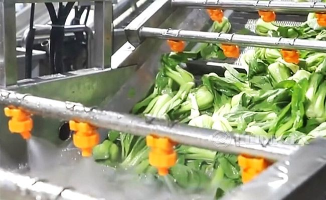 Post-Harvest & Food Processing